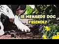 Does Menards Allow Dogs Are Stores Pet