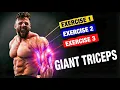 The ONLY 3 Tricep Exercises You ll Ever Need