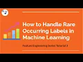 Feature Engineering Series Tutorial 3 - How to Handle Rare Occurring Labels in Machine Learning