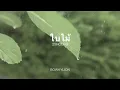 ใบไม้ (25hours) - BOWKYLION