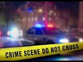 Recent Crime Update