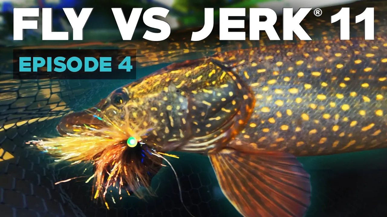 video Fly vs jerk 11