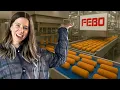 Download Lagu We Went Inside the FEBO Factory 🤫