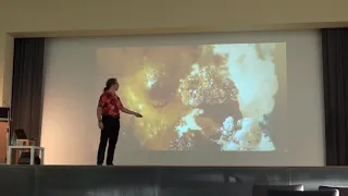 Solvated electrons in liquid ammonia research talk