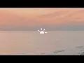 MISERO & deep dispatch - Do It Again
