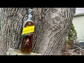 Johnnie Walker Black Cask Blended Scotch Whisky Review
