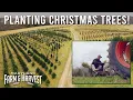See a Farmer Plant Christmas Trees MD F H
