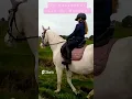 Download Lagu Op buitenrit naar de Manege (youtube short uitproberen) #shorts