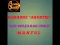 Download Lagu ADE BERJILBAB UNGU ( akustik ) KARAOKE