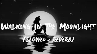 Download Walking in the moonlight | slowed reverb | Hariharan |lyrics video MP3