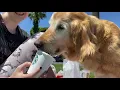 Kyle Puppacino 2020
