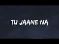 Download Lagu Tu Jaane Na | Atif Aslam | SR Lofi