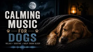 Doggy Dreams Start Here