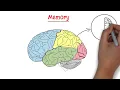 PSY-101 Module 4 Learning and Memory