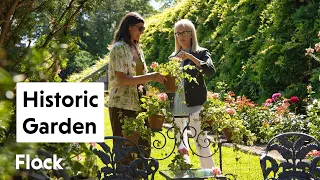 One of America s Great COUNTRY GARDENS That Many Gardeners Have NEVER Heard of Ep 382