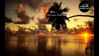 سورة الفيل مكررة سبع مرات   عبدالباسط عبدالصمد دندنها