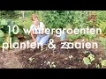Download Lagu Ini's Moestuin #70  - 10 groenten die je in augustus kunt planten \u0026 zaaien. O.a. boerenkool, rucola.
