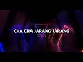 Download Lagu CHA CHA JARANG JARANG ( STVNDLhiano Remix )