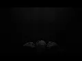 Avenged Sevenfold - Tonight The World Dies [Lyrics on screen] [Full HD]