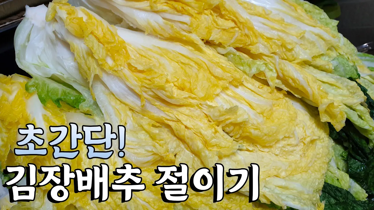 배추 절이기