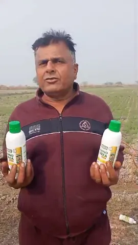 राजस्थान के टोंक जिले के किसान शिवजी ने नैनो यूरिया इस्तेमाल करने की वजह क्या बताई