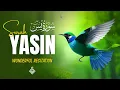 Download Lagu Surah Yasin (Yaseen) سورة يس | Tranquil Moments with a Soothing Recitation | Al-Taqwa TV