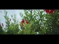 BE:FIRST / Secret Garden -Teaser-