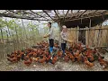 Lagu CEO Nam helped improve the lives of Lien and her grandmother. Now they have a wonderful farm.