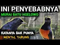 Download Lagu NGELOWO APA GAK PUNYA METAL MURAI BATU NGELOWO MURAI BATU HILANG FIGHTER