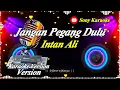 Download Lagu JANGAN PEGANG DULU INTAN ALI || @sonykaraokeofficial