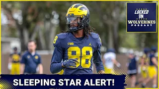 REVEALED New Michigan Wolverines Staff SHAKEUP Did They FALL UP With Harder-Hitting Coaches