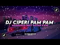 Download Lagu DJ CIPERI PAM PAM MAIMUNAH IMUT AISYAH 🗿🤙 | SLOWED REVERB⚡️