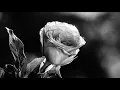 BRIMSTONE - Sleepwalkers (Deffyme Remix)