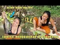 Download Lagu Survival cooking - memasak ikan bakar bumbu kecap di temani suara kicauan burung liar