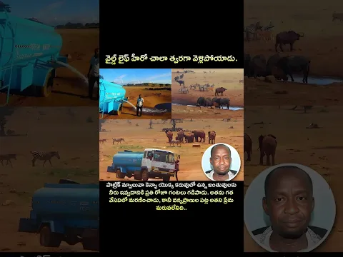 సెల్యూట్ బ్రదర్ 👍🙏⚡💐