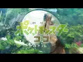 劇場版 ポケットモンスター ココ OP 【Beverly×岡崎体育】"ココ" フル叩いてみた/movies [Pocket Monsters] OP Full [Coco] -drumcover-