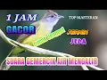 Download Lagu Masteran burung cucak jenggot gacor dan suara gemercik air mengalir durasi 1 jam