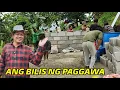 Download Lagu ITO NA UPDATE SA BAHAY NI BAYAW AT RICA KAHIT MAULAN TULOY-TULOY SA PAGGAWA