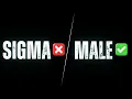 Download Lagu Are you a “Sigma”?