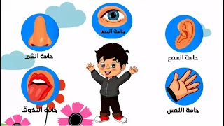 الحواس الخمسة بالعربية حاسة اللمس السمع الشم البصر التذوق فيديوهات تعليمية 