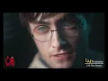 All New Harry Potter Life Size Statues Daniel Radcliffe Silicon Head