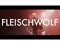 Download Lagu THE IDIOTS - FLEISCHWOLF