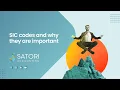 Satori SIC Codes Revised2