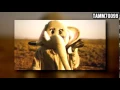 Download Lagu Coldplay vs. Katy Perry - Paradise vs. Wide Awake (The Perfect Mashup Mix)