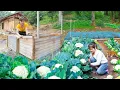 Download Lagu Timelapse - Harvesting Giant Cauliflower \u0026 Farm Life with 1000 Chickens
