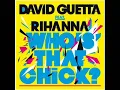 Lyrics: Rihanna Ft. David  Guetta - Who's That Chick?
