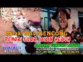 Lagu PENARI ULAR BIKIN HEBOH, Mbak Bencong || Jaranan GEMBONG BAWONO Siliragung live di DASRI