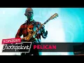 Download Lagu Pelican live | Freak Valley Festival 2022 | Rockpalast