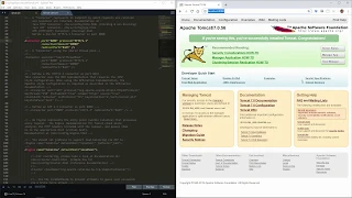 Configuring Tomcat for HTTPS User Authentication Security 7