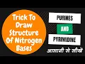 Trick To Draw Structure Of Nitrogen Bases Purine And Pyrimidine